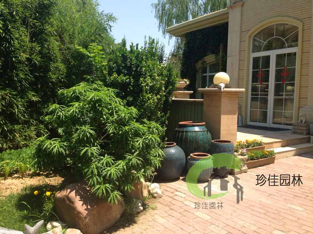 米兰官网网页版入口